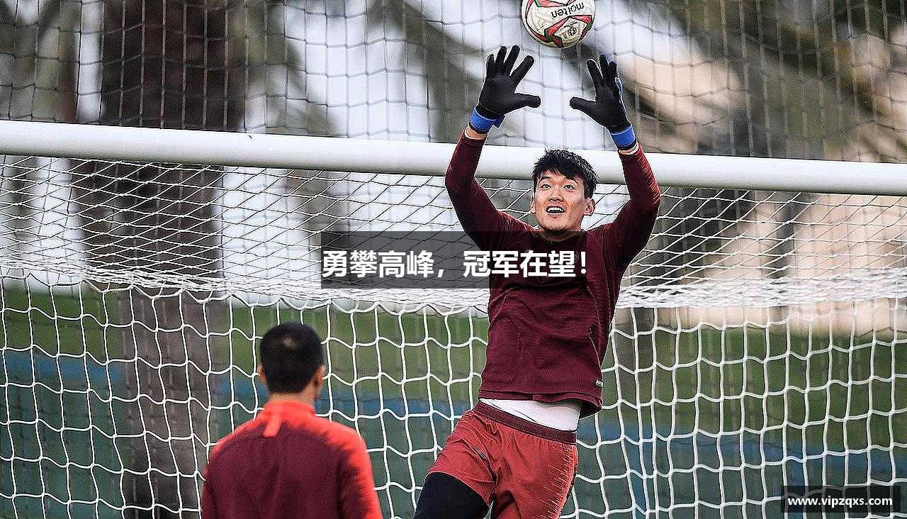 勇攀高峰，冠军在望！